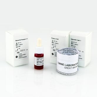 Febrile Antigen Kit